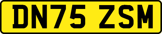 DN75ZSM