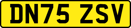 DN75ZSV