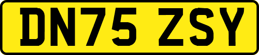 DN75ZSY