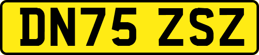 DN75ZSZ
