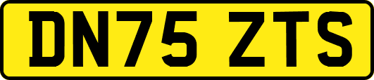 DN75ZTS