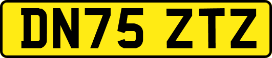 DN75ZTZ