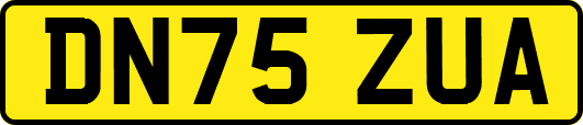DN75ZUA