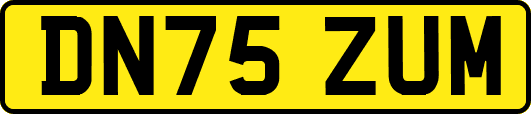 DN75ZUM