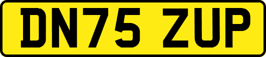 DN75ZUP