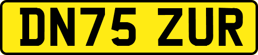 DN75ZUR