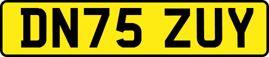 DN75ZUY