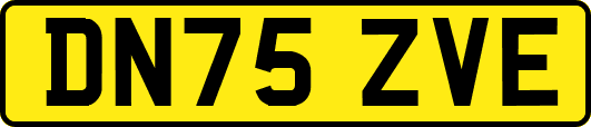 DN75ZVE