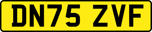 DN75ZVF