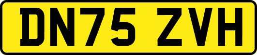 DN75ZVH