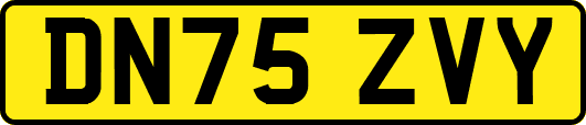 DN75ZVY