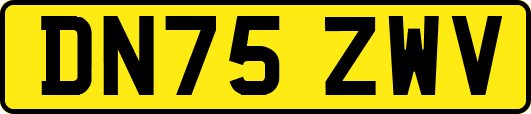 DN75ZWV