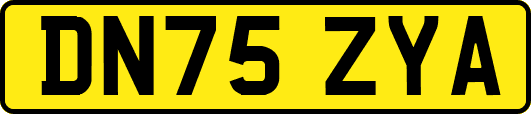 DN75ZYA