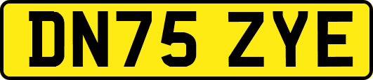 DN75ZYE