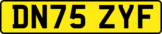 DN75ZYF