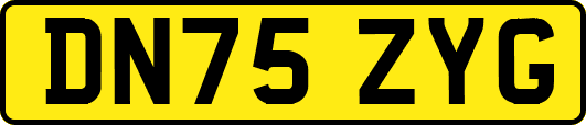 DN75ZYG