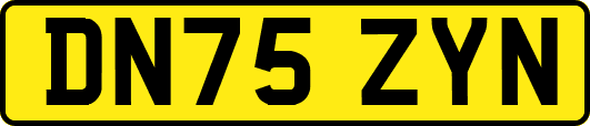DN75ZYN