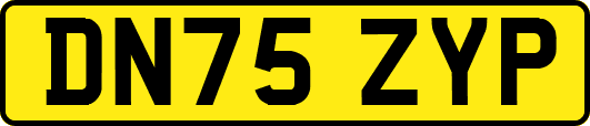 DN75ZYP
