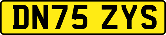 DN75ZYS