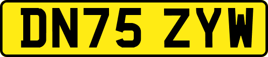 DN75ZYW