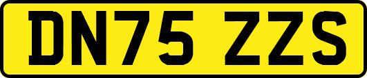 DN75ZZS
