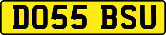 DO55BSU