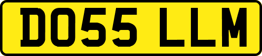 DO55LLM