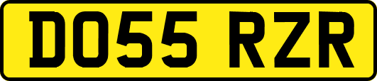 DO55RZR