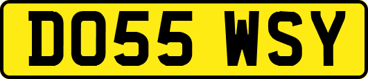 DO55WSY