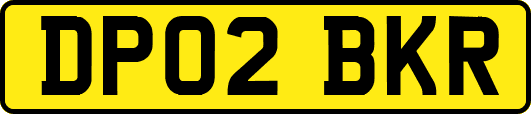DP02BKR