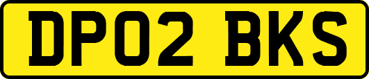 DP02BKS