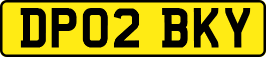 DP02BKY
