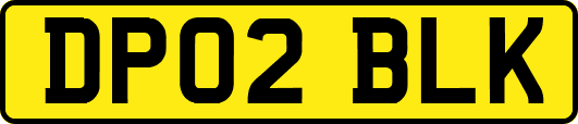 DP02BLK
