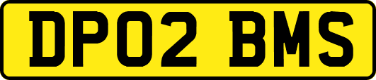 DP02BMS