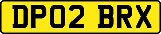 DP02BRX