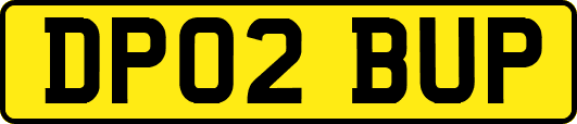 DP02BUP