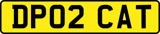 DP02CAT