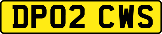 DP02CWS