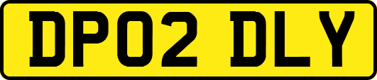 DP02DLY