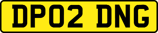 DP02DNG