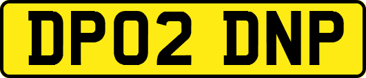 DP02DNP