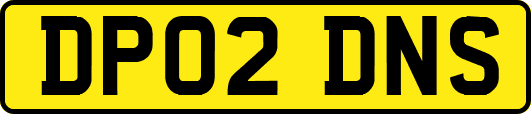 DP02DNS