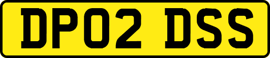 DP02DSS