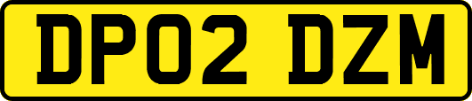 DP02DZM