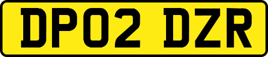 DP02DZR