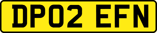 DP02EFN