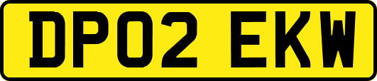 DP02EKW
