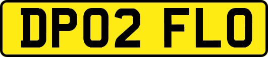 DP02FLO