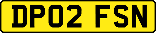 DP02FSN