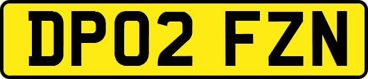 DP02FZN